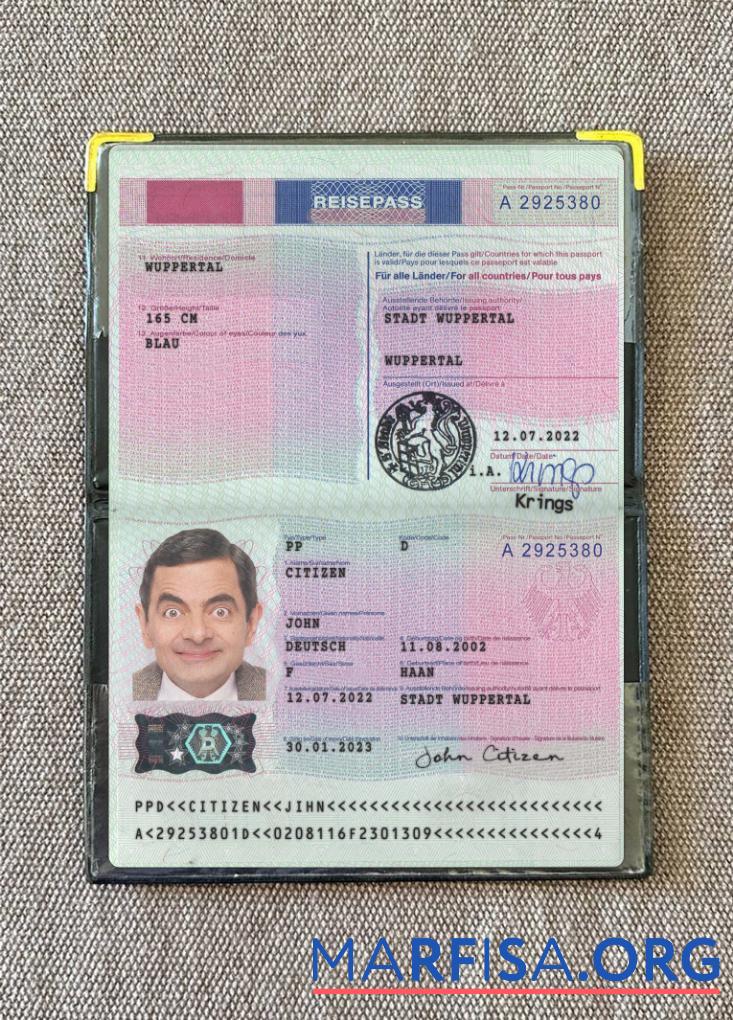 Blank Germany passport 2022 present photolook real example